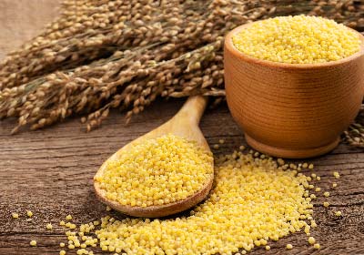 2023-the-year-of-the-forgotten-millet