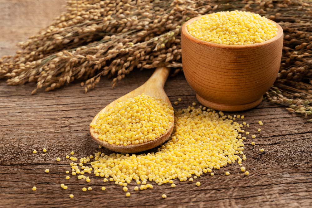 2023-the-year-of-the-forgotten-millet