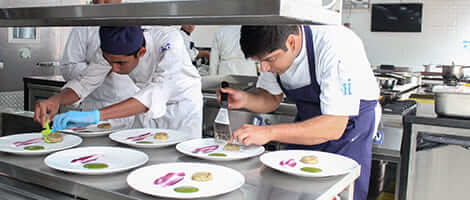 culinary-programmes